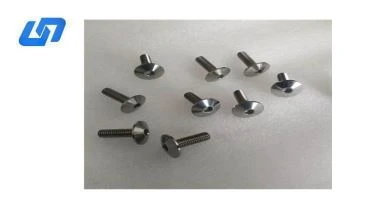 TORNILLOS DE TITANIO CON CABEZA HEXAGONAL CON BOTÓN ISO7380