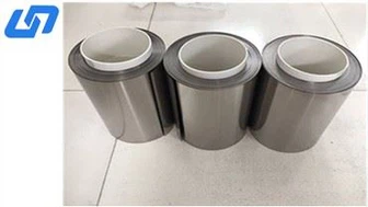 Lámina de titanio de 0,075 mm para el esqueleto de la bobina móvil